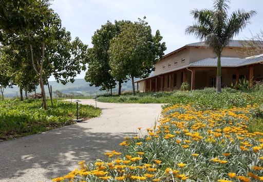 kibbutz-degania-alef-israel-vipassana-center